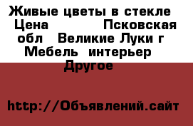 Живые цветы в стекле › Цена ­ 1 200 - Псковская обл., Великие Луки г. Мебель, интерьер » Другое   